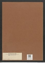 Diatomeae indet. (de-Toni-Nr.: Species 3155 var. ?) Zeichnungen Sammlung Grunow Mappe 03441 (Herbarium_W_Grunow_drawings_Folder_03441)